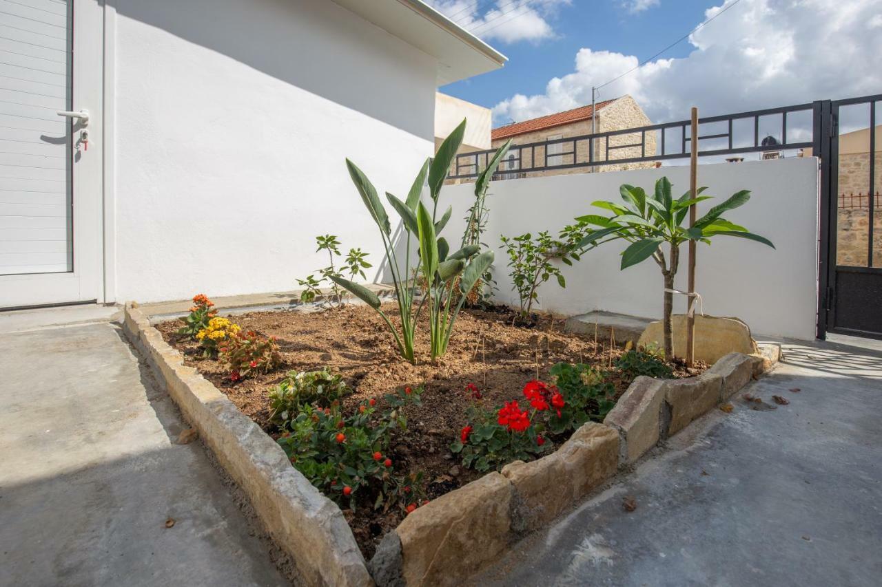 Iliopetra Studio Sivas Luaran gambar