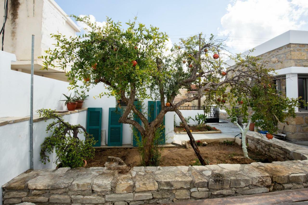 Iliopetra Studio Sivas Luaran gambar